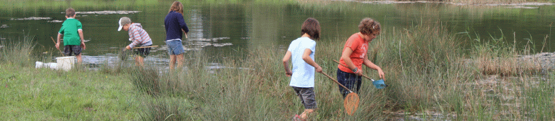 Kinder käschern im Teich