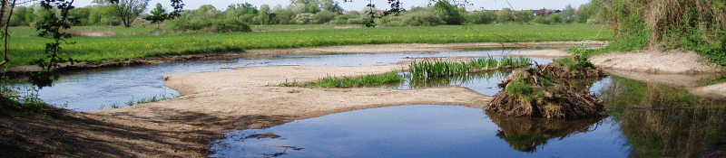 Umgestalteter M&uuml;hlbach an den Sandmatten